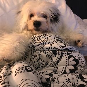 Meet your Posher, Efrain